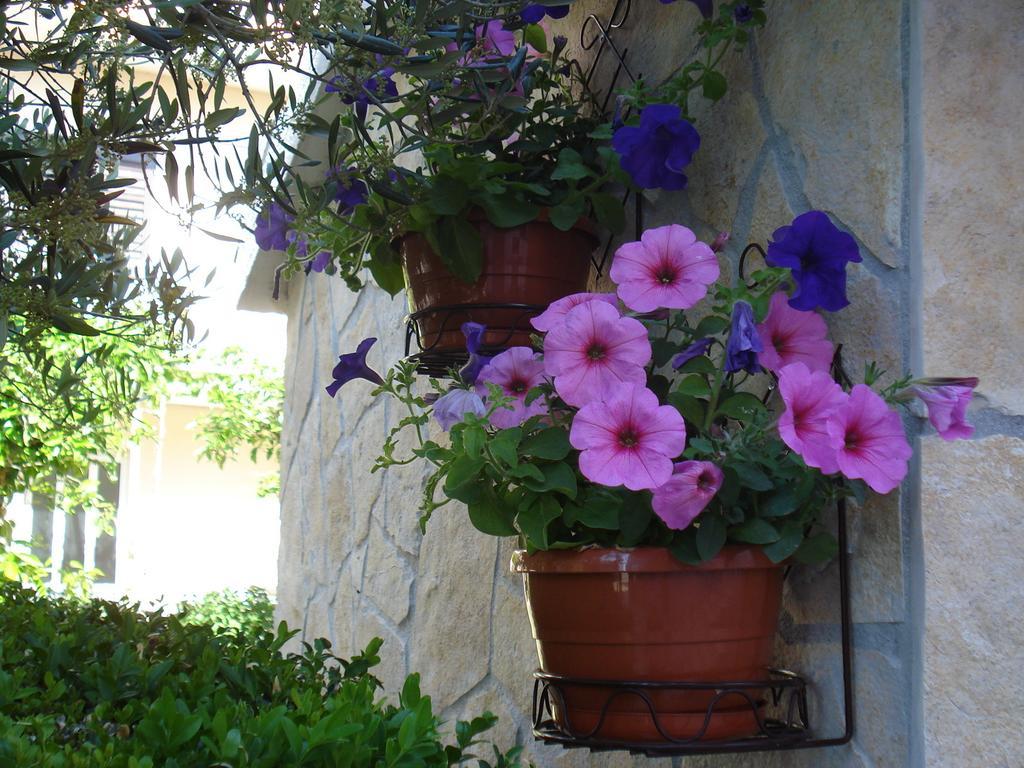 Apartments Villa Lilla Baška Voda Kültér fotó